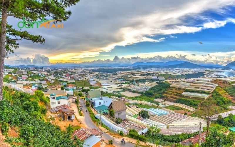 cafe săn mây Đà Lạt